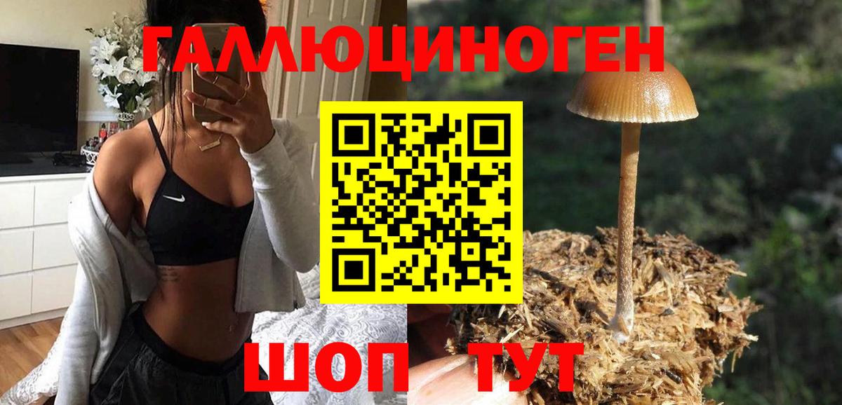 Галлюциногенные грибы Psilocybe  как найти наркотики  Галлюциногенные грибы мицелий  Фурманов  Вход с VPN 