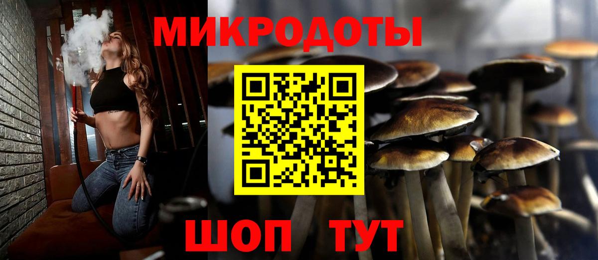 Псилоцибиновые грибы мицелий Фурманов